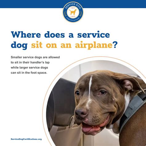 airfrance service dog